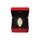 Santos de Cartier Medium Watch