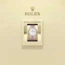 Rolex Land-Dweller 36 Ref. 127285TBR