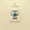 Rolex Oyster Perpetual 41 Ref. M134300-0009