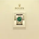 Rolex Sky-Dweller 42mm Yellow Gold Green 336938-0007