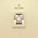 Rolex Land-Dweller 36 Ref. 127235
