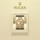 Rolex Day-Date 40 Yellow gold Ref# 228238-0005