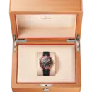 Seamaster Diver 300M 42 mm, Bronze gold on rubber strap Ref. 210.92.42.20.01.003