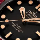 Seamaster Diver 300M 42 mm, Bronze gold on rubber strap Ref. 210.92.42.20.01.003