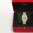 Santos de Cartier watch Ref. WGSA0107